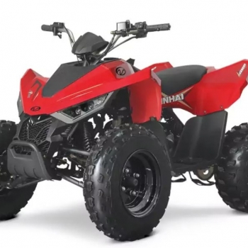 Čtyřkolka LINHAI ATV 110 2x4 EFI CE