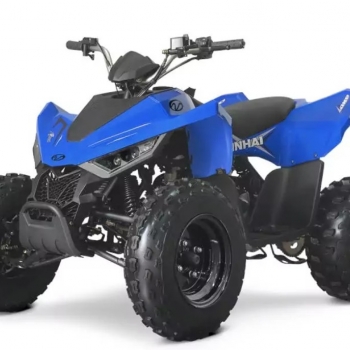 Čtyřkolka LINHAI ATV 110 2x4 EFI CE - foto č. 11