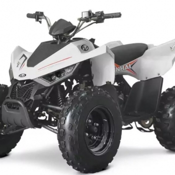 Čtyřkolka LINHAI ATV 110 2x4 EFI CE - foto č. 9