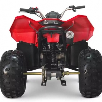 Čtyřkolka LINHAI ATV 110 2x4 EFI CE - foto č. 8