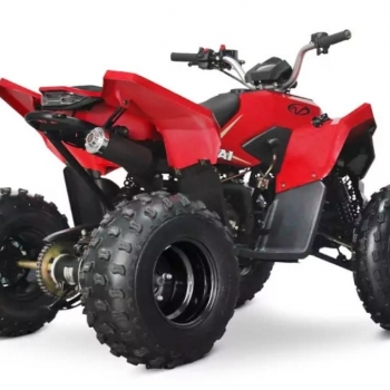 Čtyřkolka LINHAI ATV 110 2x4 EFI CE - foto č. 7