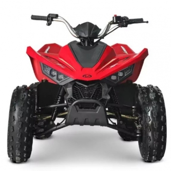 Čtyřkolka LINHAI ATV 110 2x4 EFI CE - foto č. 6
