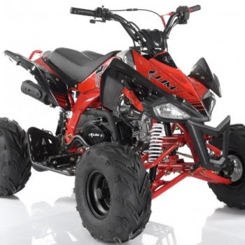 Čtyřkolka JJM Panther 110