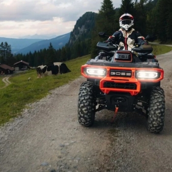 Čtyřkolka GOES TERROX 1000 Limited - foto č. 6